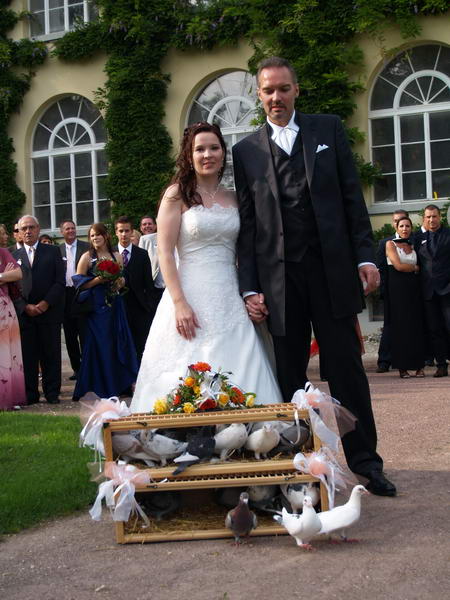 Hochzeitstauben - Hochzeitsbilder