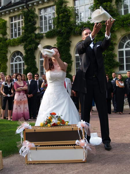 Hochzeitstauben - Hochzeitsbilder