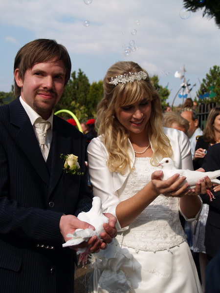 Hochzeitstauben - Hochzeitsbilder