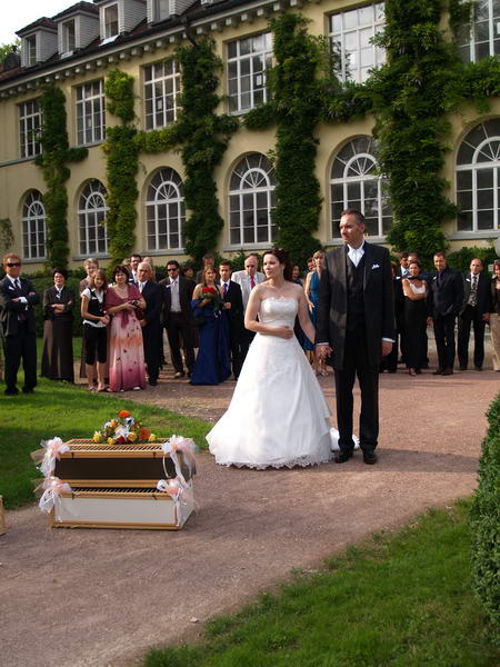 Hochzeitstauben - Hochzeitsbilder