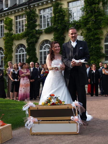 Hochzeitstauben - Hochzeitsbilder