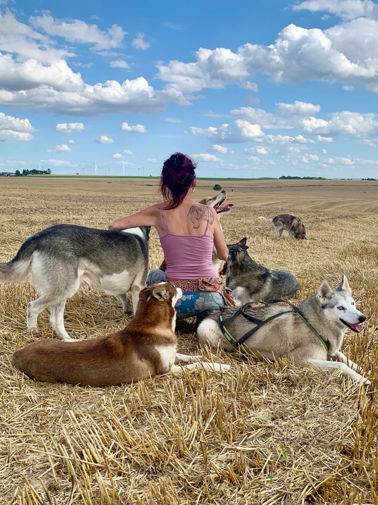 Meine Praxis bleibt bis zum 30.8.21 geschlossen. Ich wünsche allen Tierhaltern und Ihren Fellnasen eine schöne Zeit. 🐾☀️🐾