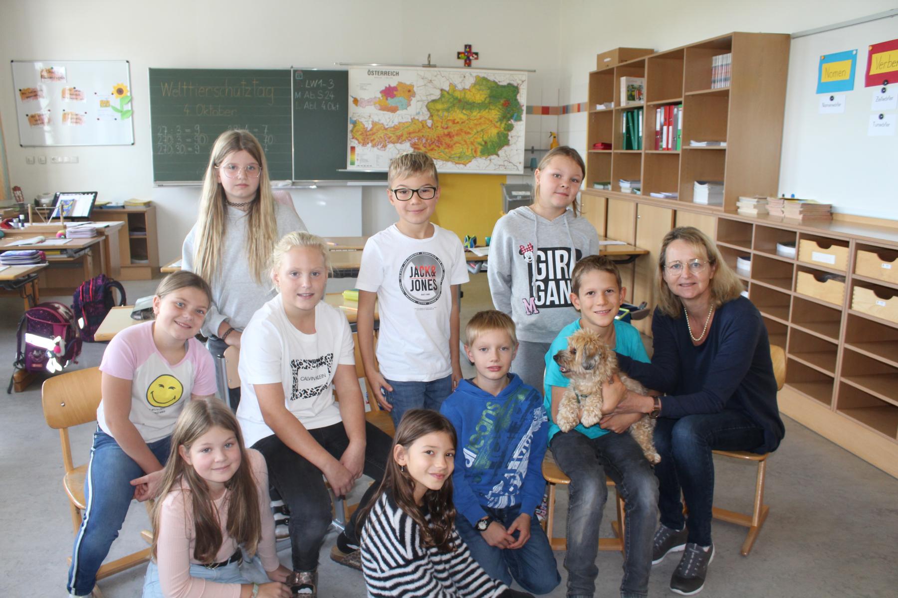 Tiere Besuchen Die 4 Klasse Volksschule dorf at tiere-besuchen-die-4-klasse-volksschule-dorf-at