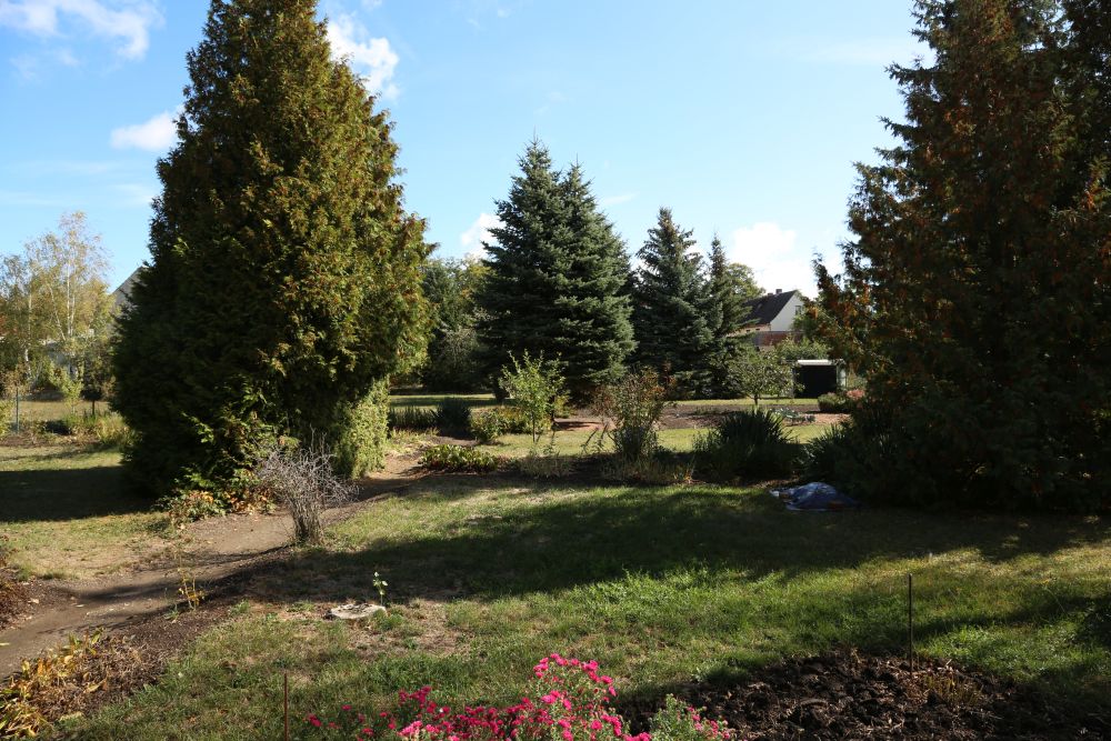 View into the garden (autumn)