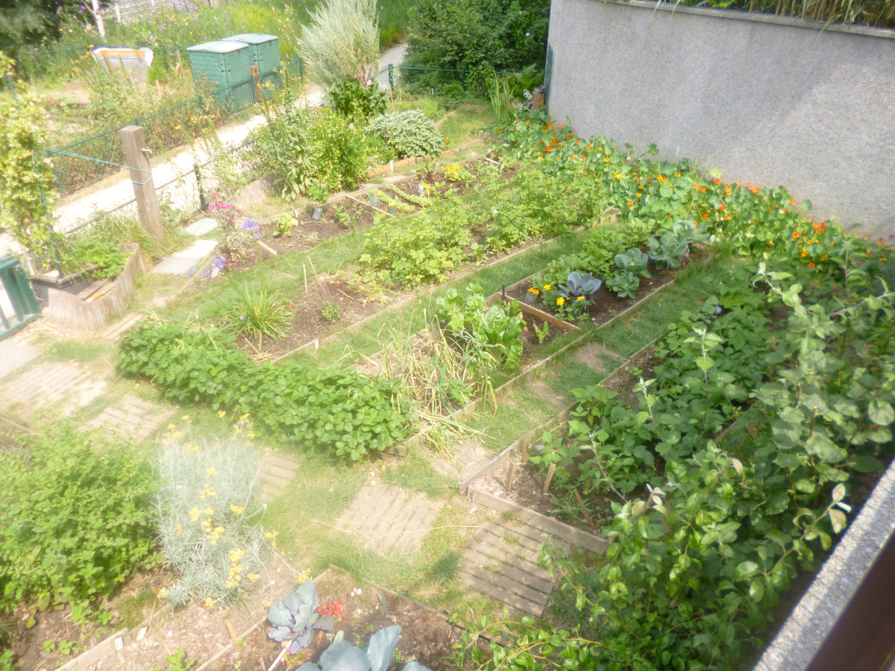 JARDIN PARTAGÉ FLEURS DE BITUME. PARIS XV.