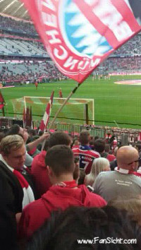 Sicht auf das Spielfeld aus Block 113 in der Allianz Arena des FC Bayern München