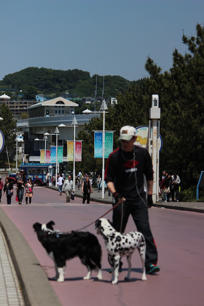 こどもの日の八景島シーパラ・意外と空いていた。