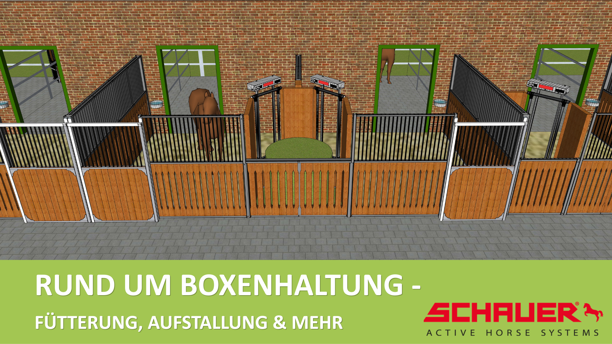 Schauer Boxenställe