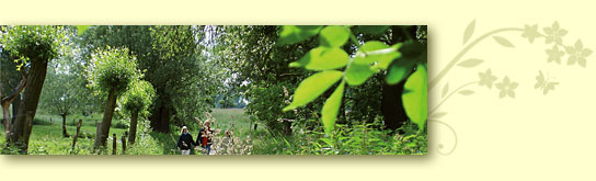 Kräuterwanderung mit Celia Nentwig