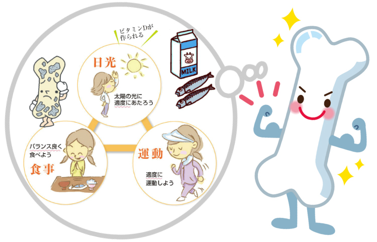 強い骨と弱い骨イラスト - No: 1837473／無料イラストなら「イラストAC」