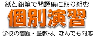 紙と鉛筆で問題集に取り組む　個別演習　学校ん宿題・塾教材、なんでも対応