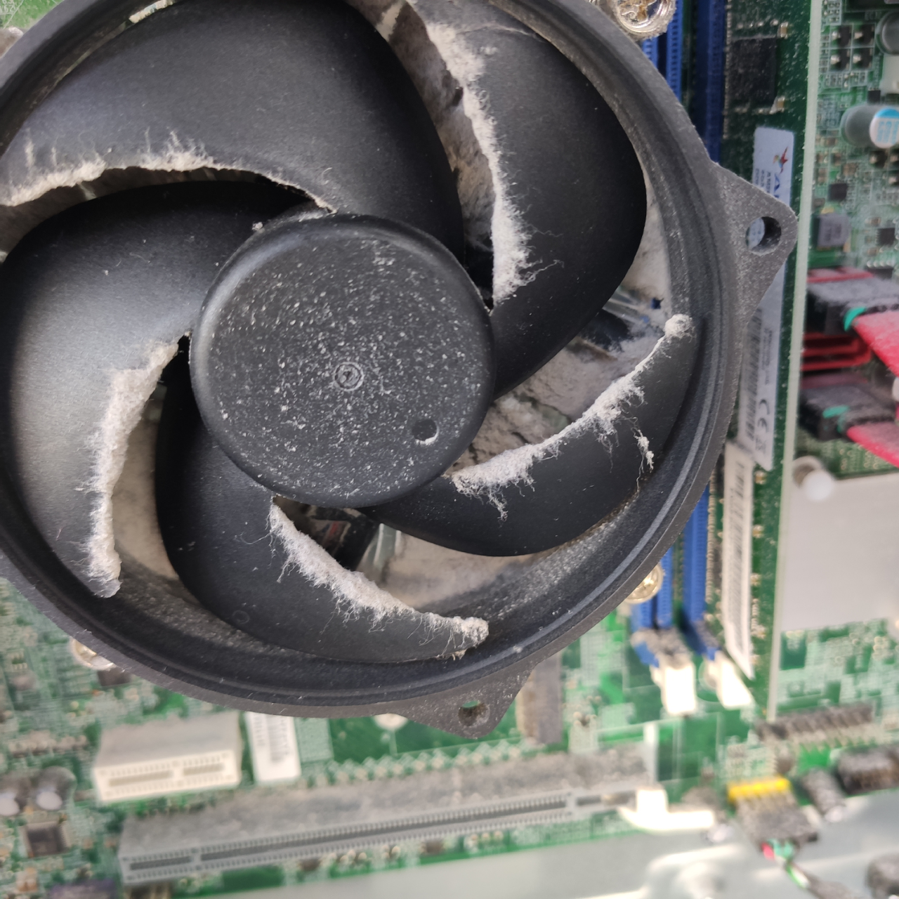 vollkommen verstaubte CPU-Kühlung --> mögliche Überhitzung