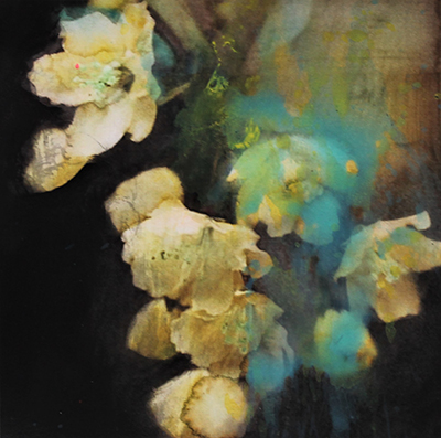 Lilienland - 2