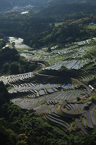 Maruyama Senmaida (One Thousand Rice Paddies)