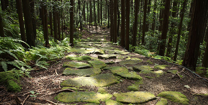 Nigishima Pass and Okamizaka Pass