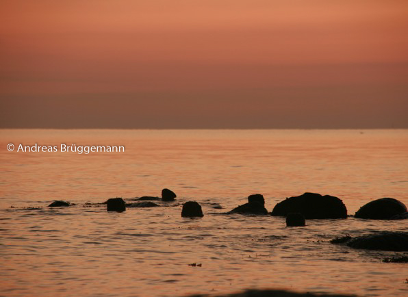 Steine im Wasser