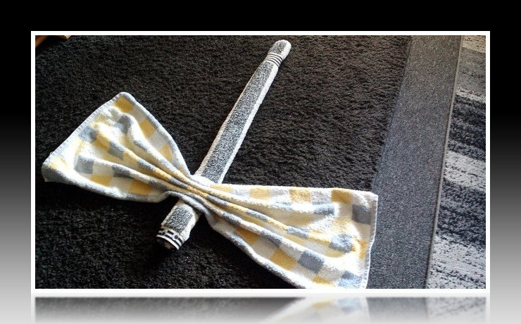 Handtuch Falten Libelle Tischdeko Servietten Falten