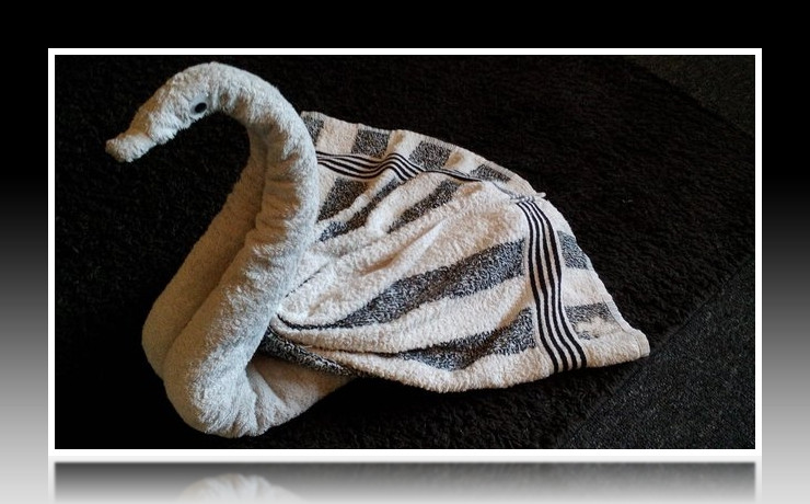 Handtuch falten Schwan - Tischdeko Servietten falten