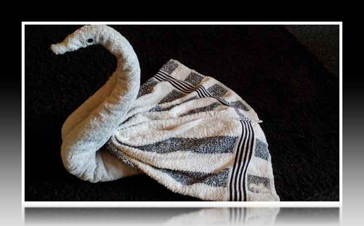 Handtuch falten Schwan - Tischdeko Servietten falten