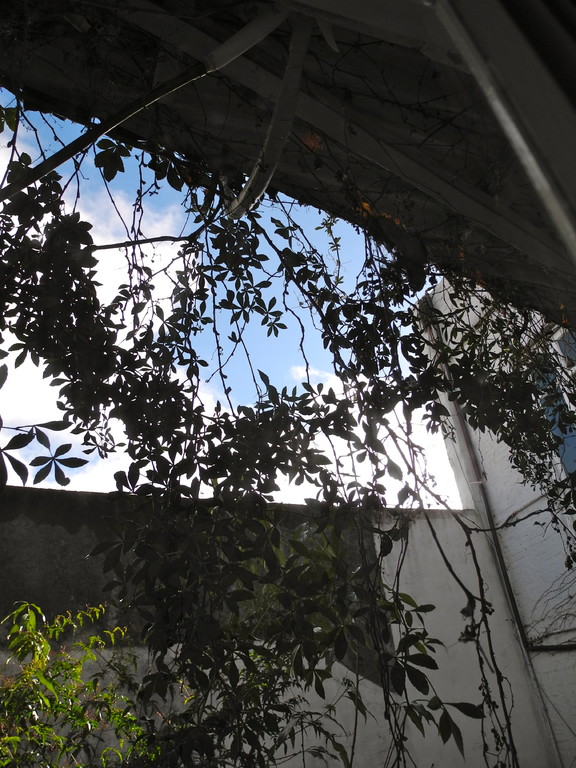 Blick von Bett  durchs Fenster
