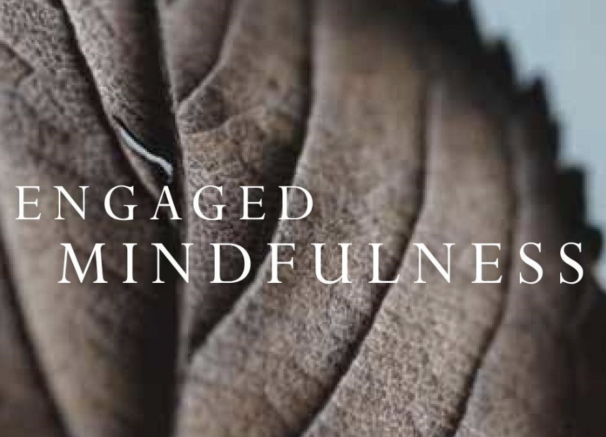 Jon Kabat Zinn Engaged Mindfulness