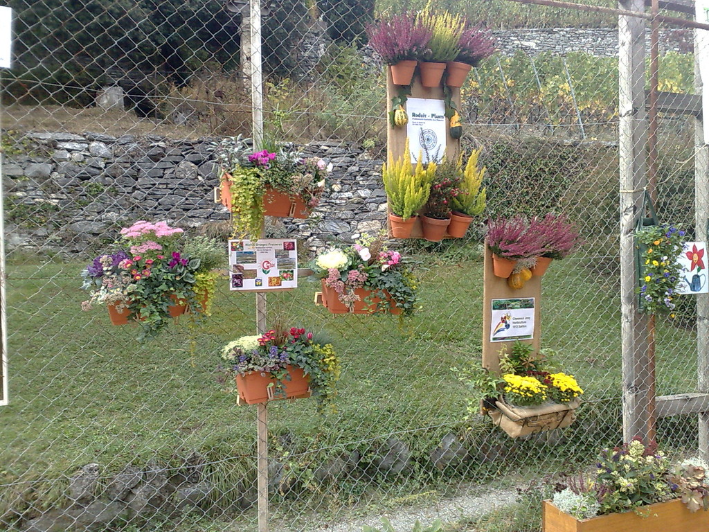 des petits vases colorés