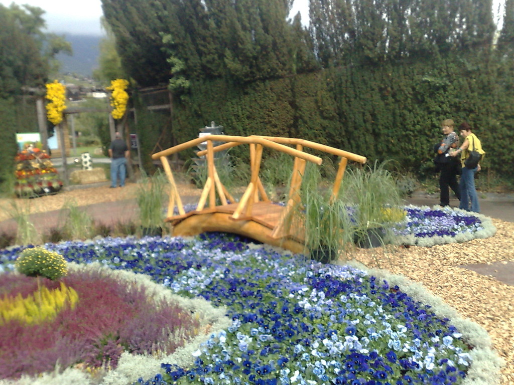 un ponton qui traverse une riviére de fleurs