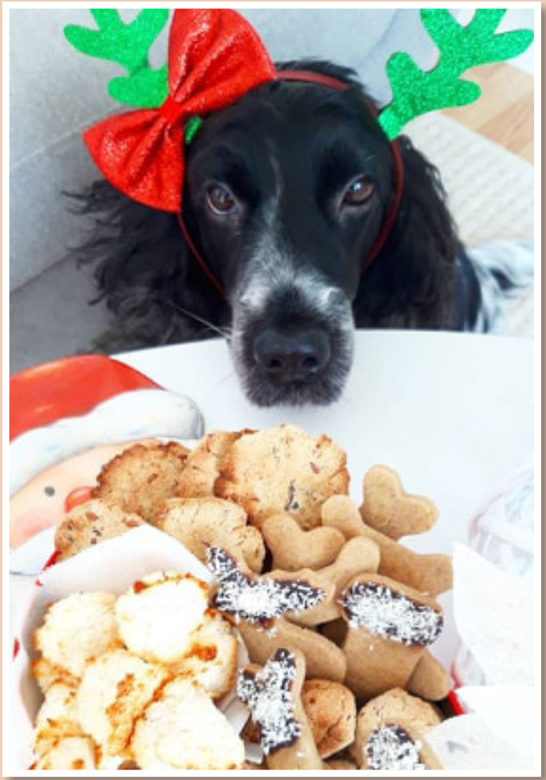 In der Weihnachtsbäckerei...