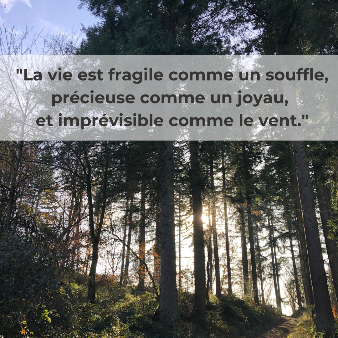 La courbe du deuil, tu connais ?