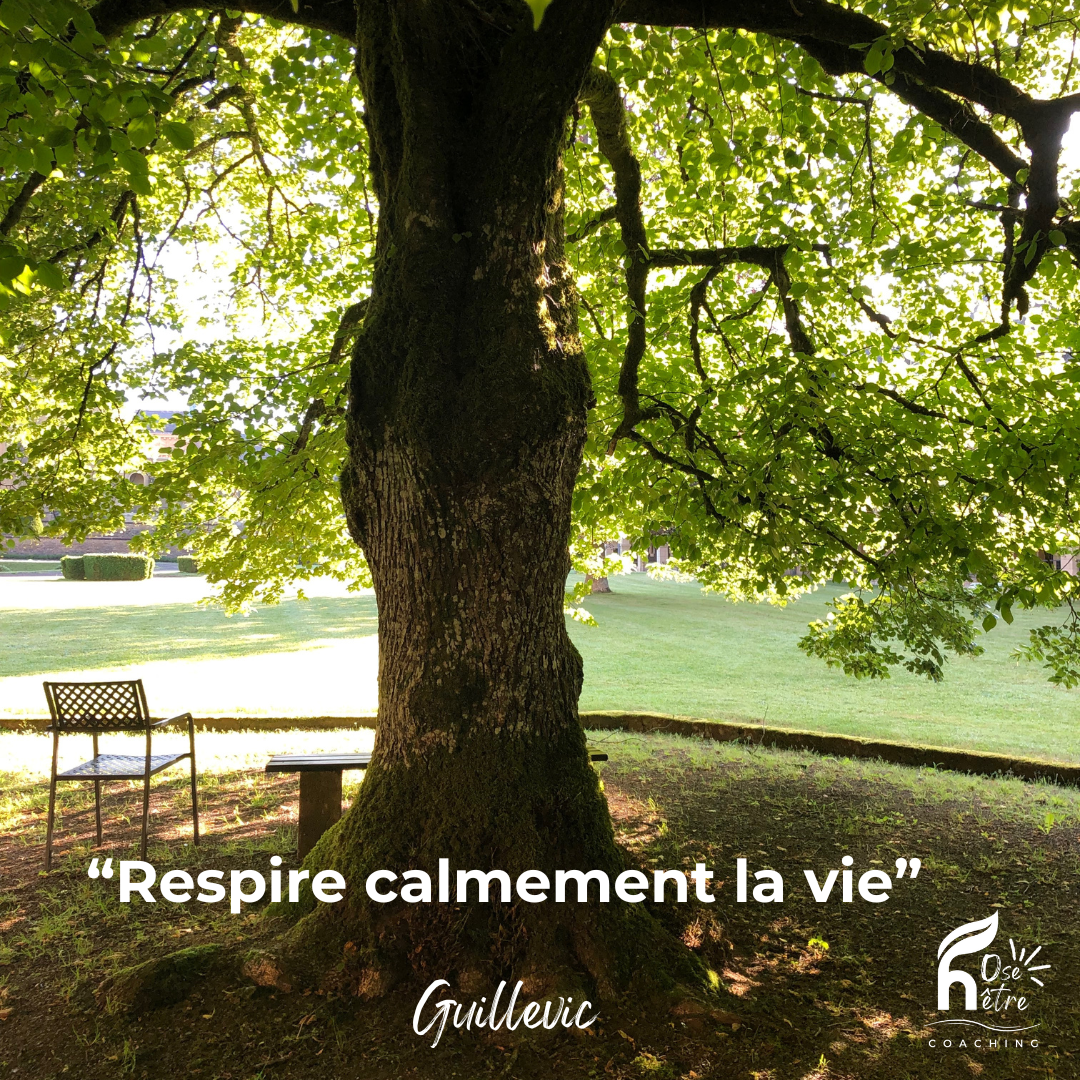Respire calmement la Vie