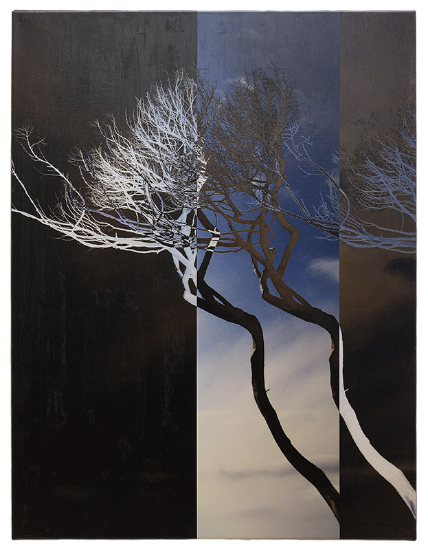 SISTER TREES LIKE DAY LIKE NIGHT (2015, 1/8, 65x85cm, MP0120, Photographie, Inkjet-Pigmentdruck auf Leinwand, Acryl) © Michael Pfenning. Verkauft/Sold