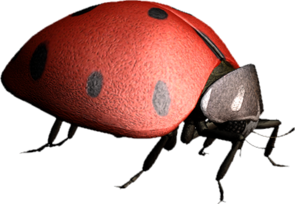 coccinelle - insecte - animaux - smiley émoticône émoji cartoon clipart illustration - artémotic