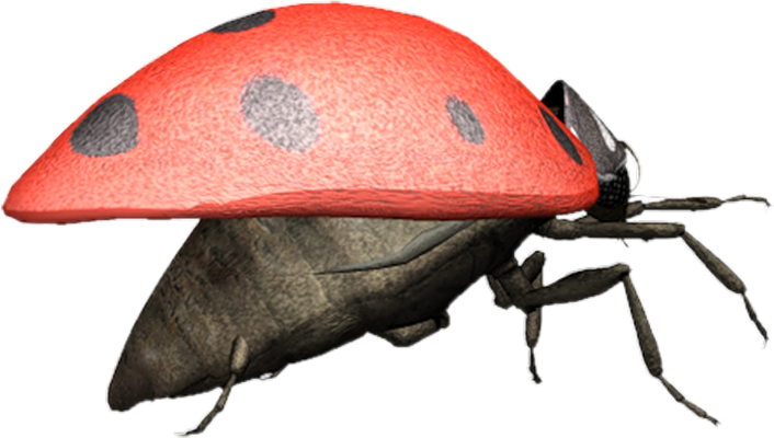coccinelle - insecte - animaux - smiley émoticône émoji cartoon clipart illustration - artémotic