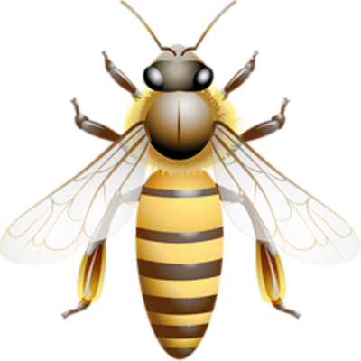 guêpe - insecte - animaux - smiley émoticône émoji cartoon clipart illustration - artémotic