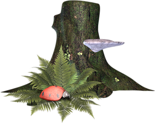 coccinelle - insecte - animaux - smiley émoticône émoji cartoon clipart illustration - artémotic