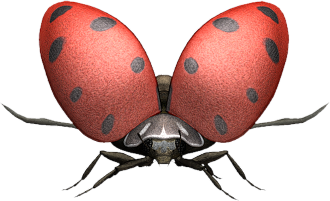 coccinelle - insecte - animaux - smiley émoticône émoji cartoon clipart illustration - artémotic