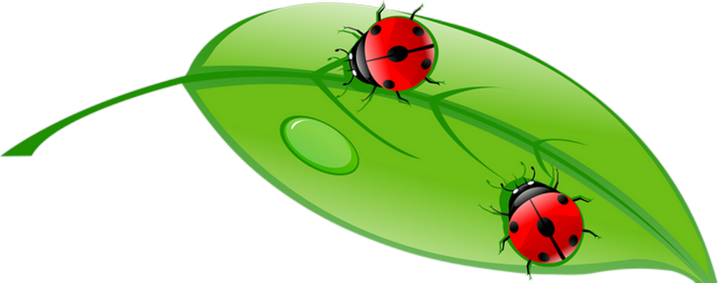 coccinelle - insecte - animaux - smiley émoticône émoji cartoon clipart illustration - artémotic