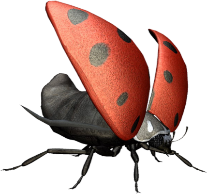 coccinelle - insecte - animaux - smiley émoticône émoji cartoon clipart illustration - artémotic