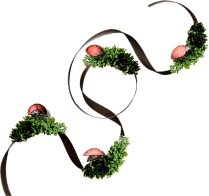 coccinelle - insecte - animaux - smiley émoticône émoji cartoon clipart illustration - artémotic