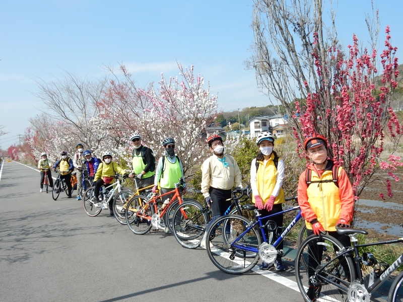 自主イベント「桜満開　りんりんロード」