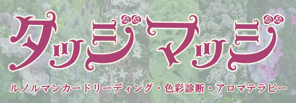タッジマッジ ~魔女の花束~
