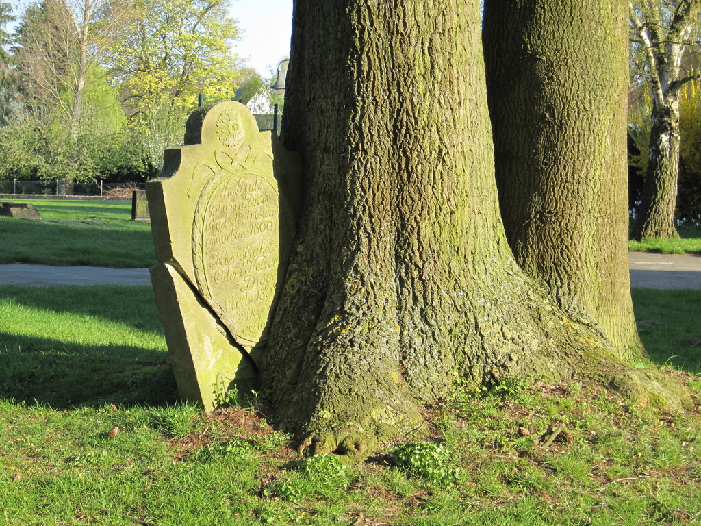 Leben und Tod auf dem alten Kirchfriedhof