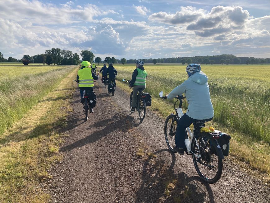 über Horstbohlen nach Petershagen