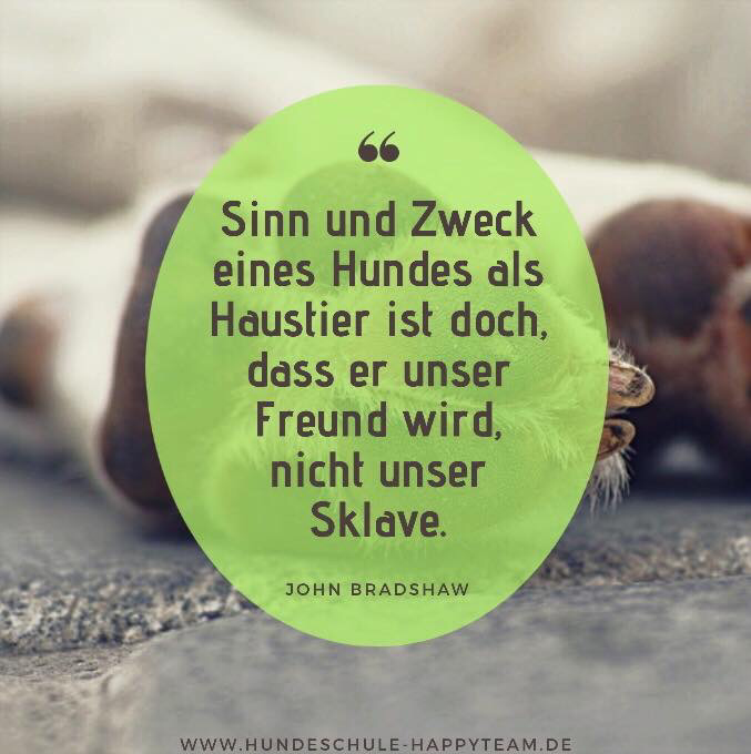 Die Sache mit dem Rudelführer hundeschulehappyteams Webseite!