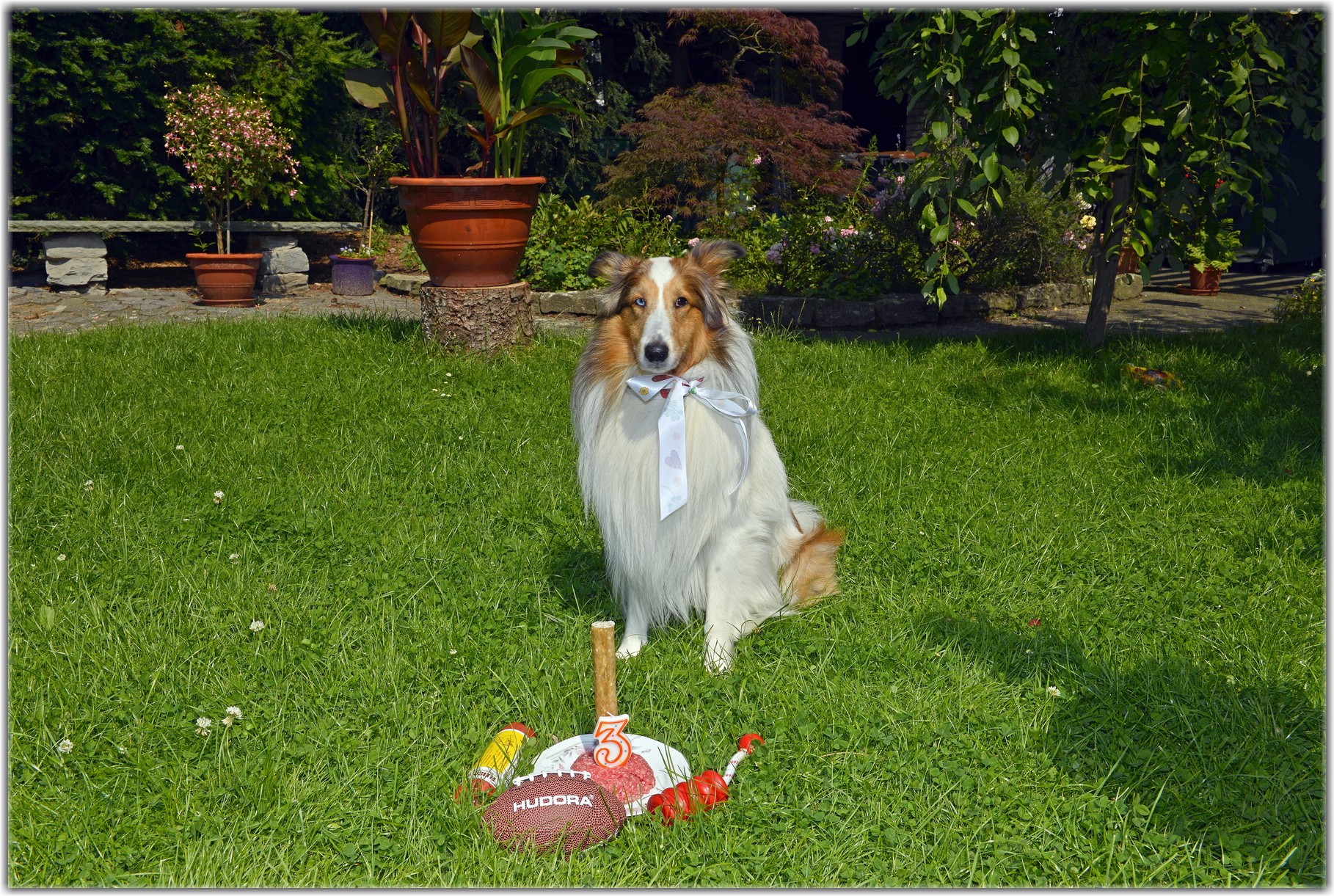 Geburtstag Mitglied Olaf C 22 Juli 2018 Wolfinnenfamily