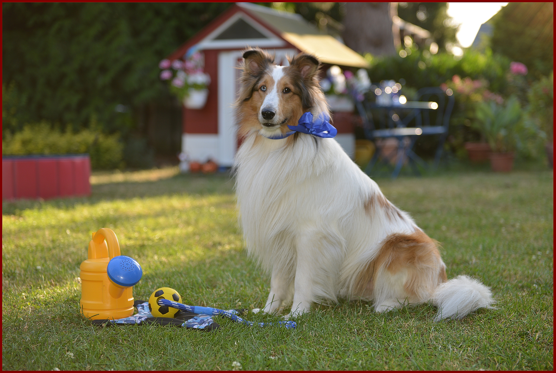 22 Juli 2017 Mireille Mathieu Geburtstag Blog Von Mimachica