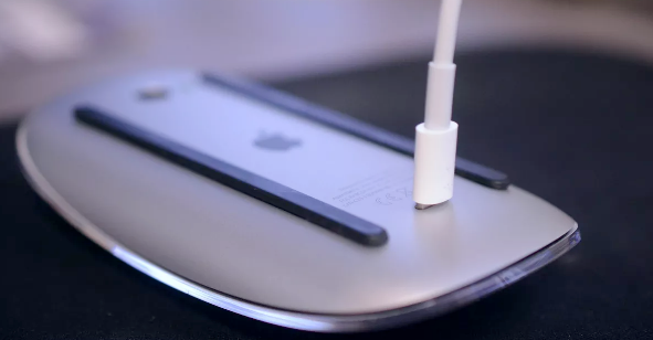 Apple mouse fail. No batteries no use on charge.