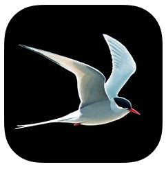 Der Kosmos Vogelführer - App