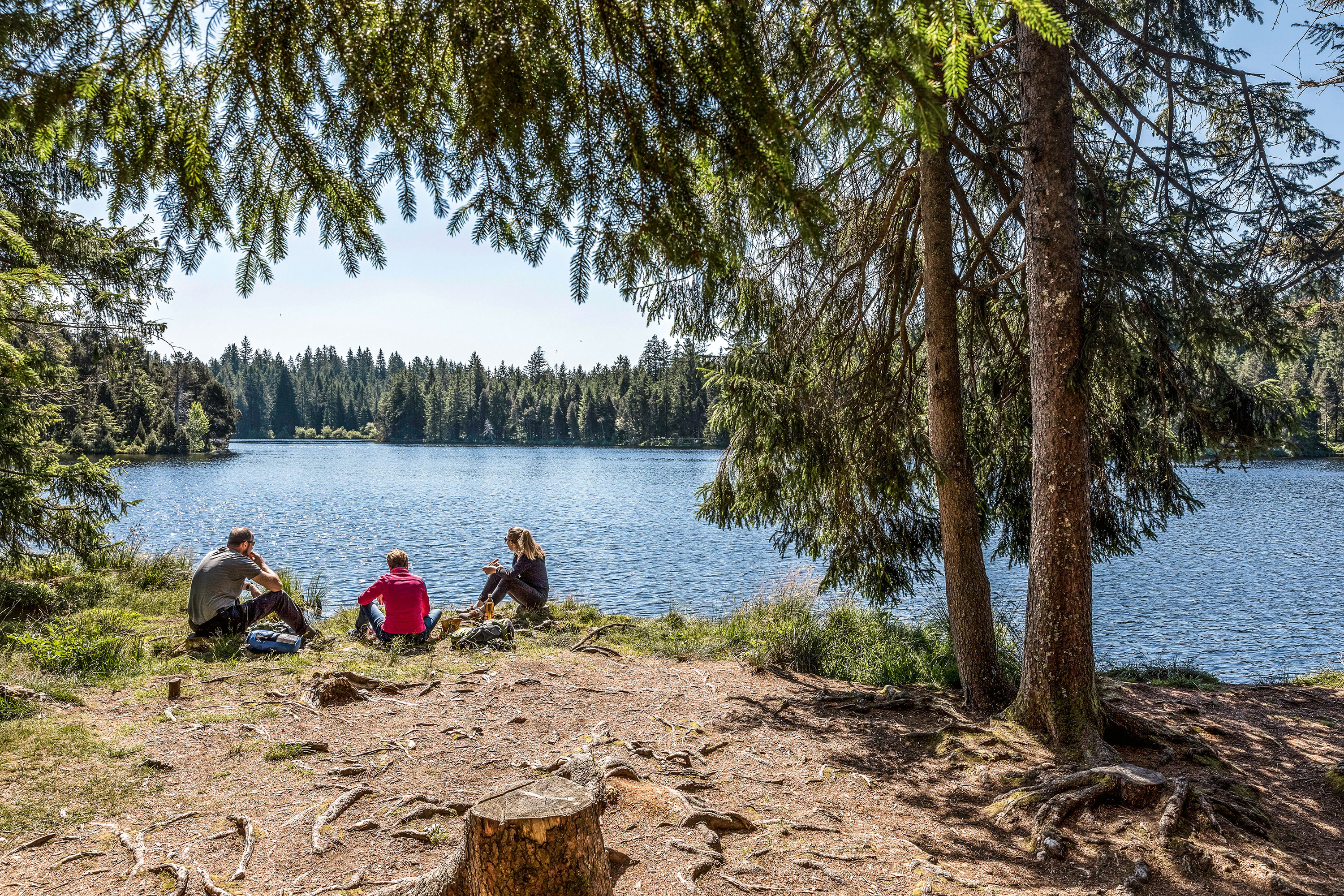 ©Parc-naturel-régional-du-Doubs_Guillaume-Perret