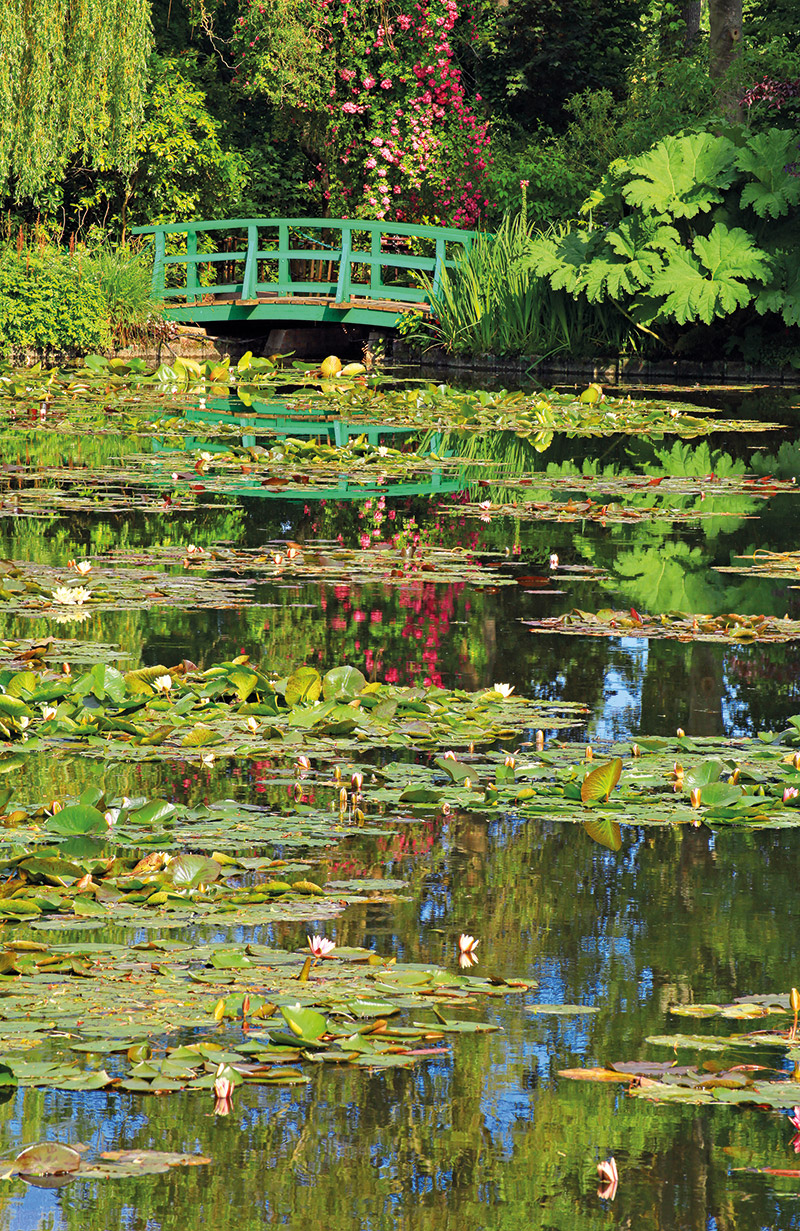 Claude Monets Garten, der Jardin d'eau au printemps